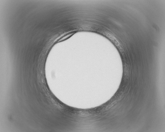 X0000115500481200912181427