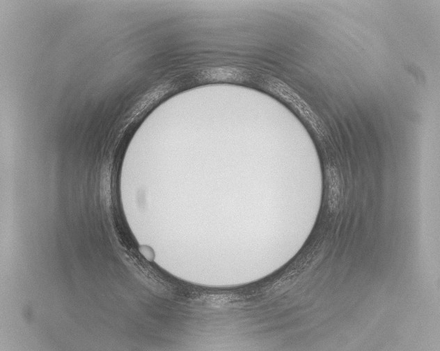 X0000115500482200912181427