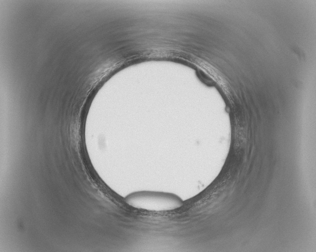 X0000115500485200912181427