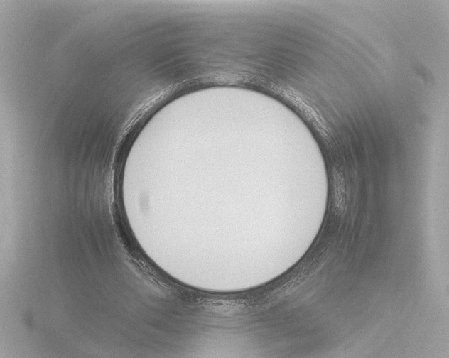 X0000115500486200912181427