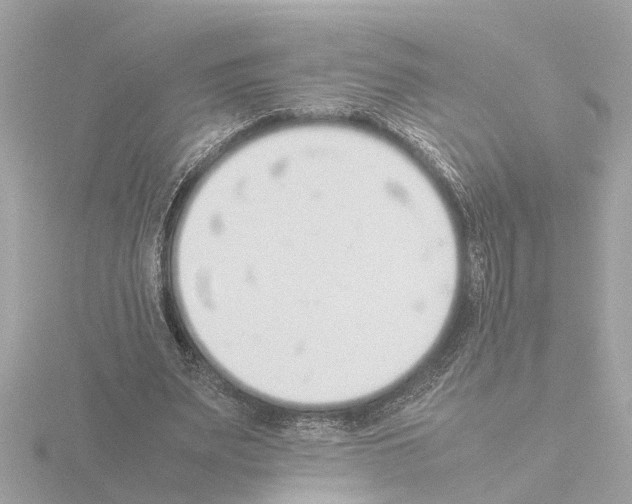 X0000115500487200912181427
