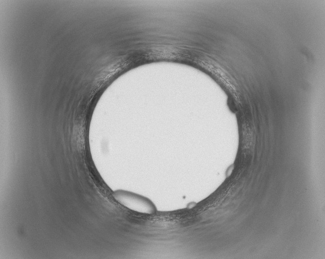 X0000115500489200912181427