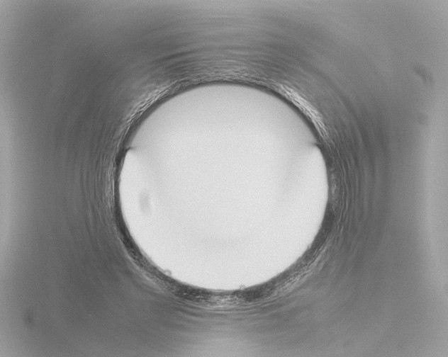 X0000115500493200912181427