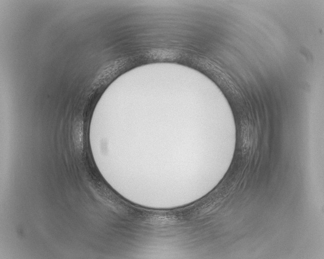 X0000115500494200912181427