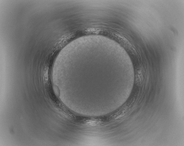 X0000115500504200912181427