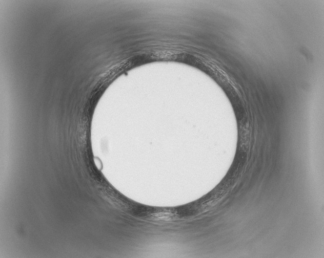X0000115500505200912181427