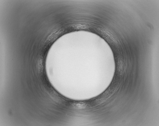 X0000115500506200912181427