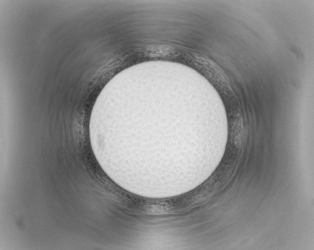 X0000115500510200912181427