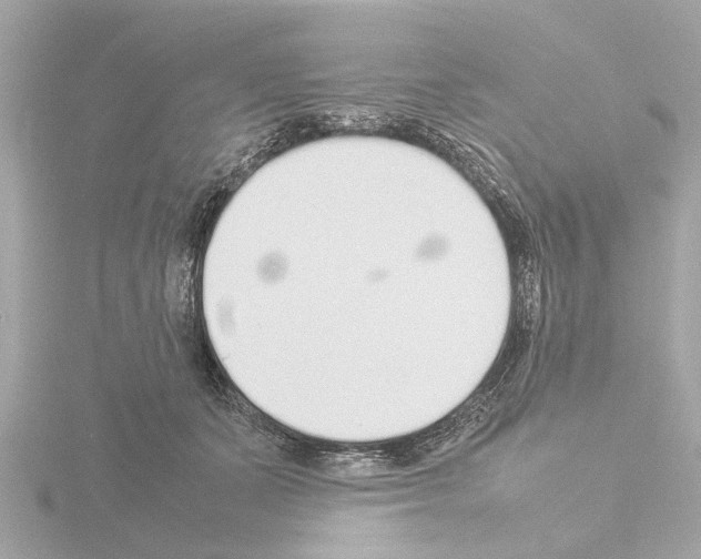 X0000115500511200912181427