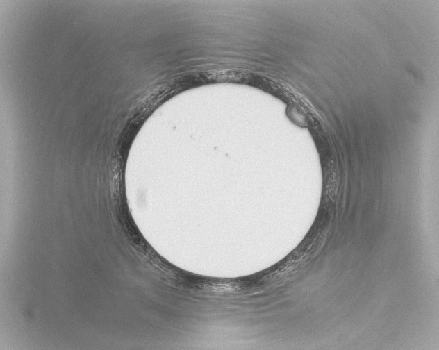 X0000115500513200912181427