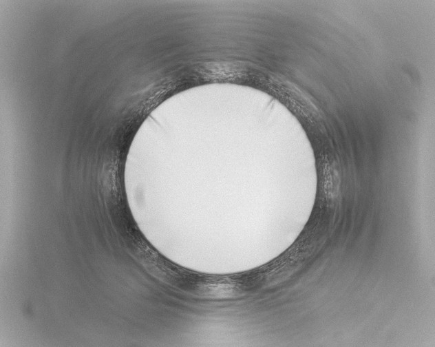 X0000115500514200912181427