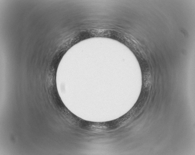 X0000115500515200912181427
