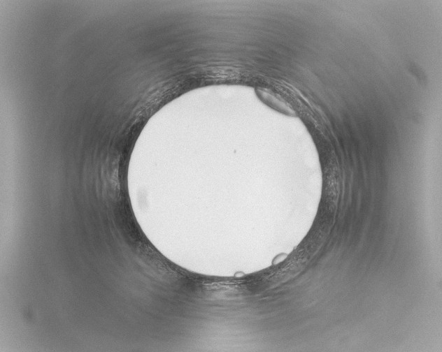 X0000115500516200912181427
