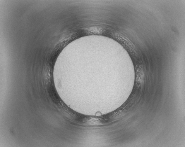 X0000115500518200912181427
