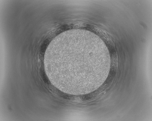 X0000115500519200912181427