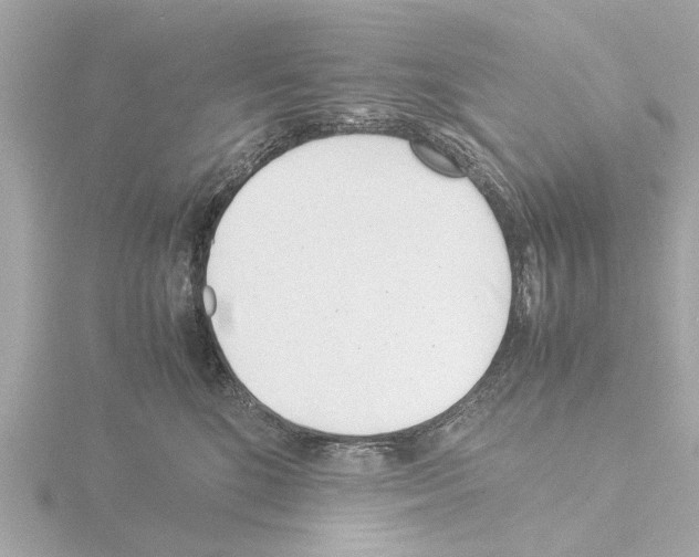X0000115500520200912181427