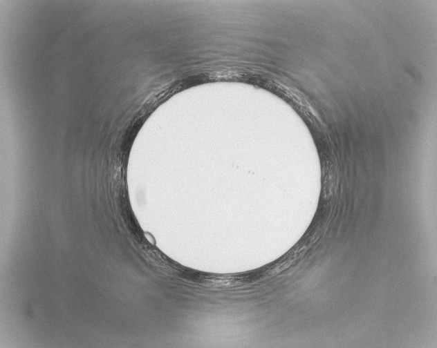 X0000115500521200912181427