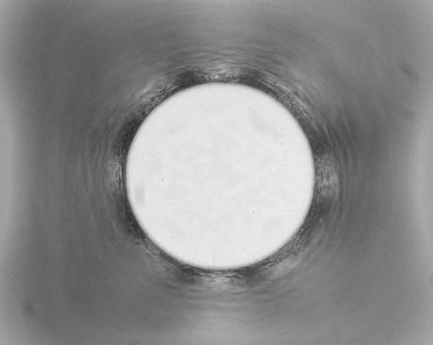 X0000115500523200912181427