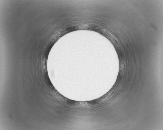 X0000115500525200912181427