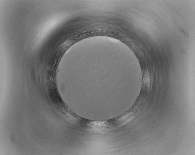 X0000115500526200912181427