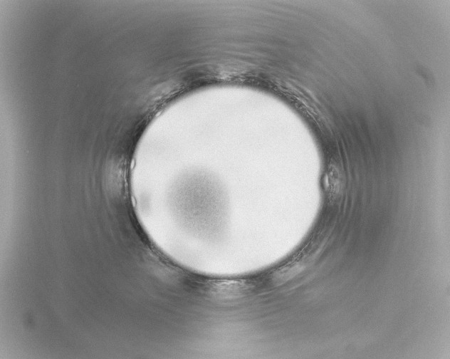 X0000115500527200912181427