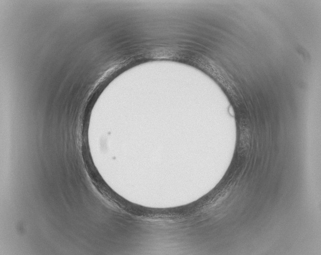 X0000115500530200912181426