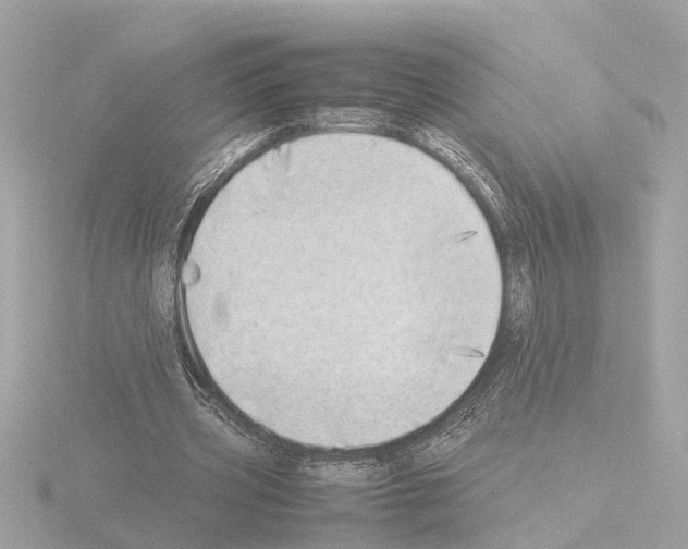 X0000115500533200912181426