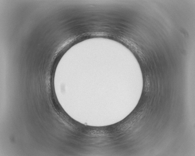 X0000115500535200912181426