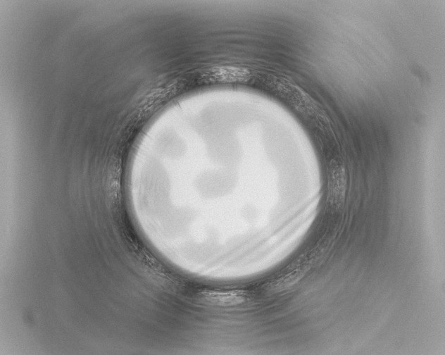 X0000115500553200912181426