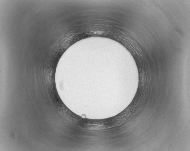 X0000115500559200912181426