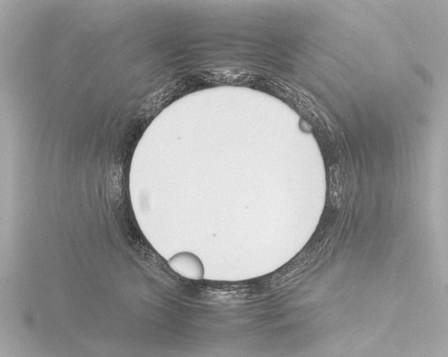 X0000115500563200912181426