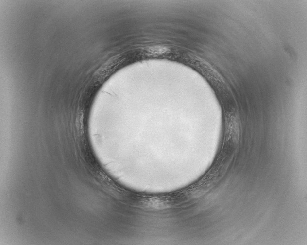 X0000115500565200912181426
