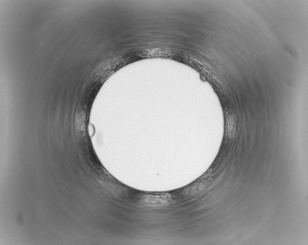 X0000115500571200912181426