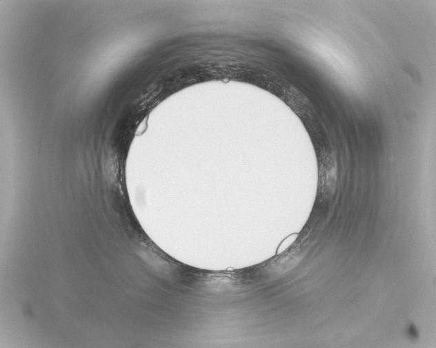 X0000115500574200912181426