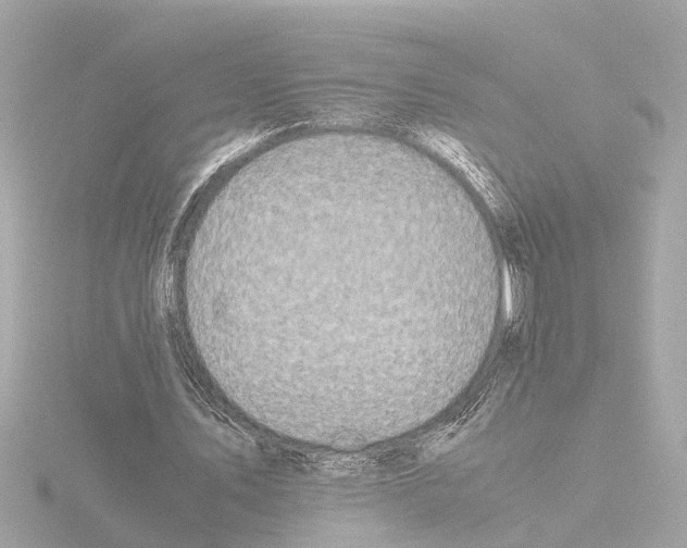 X0000115500579200912181426