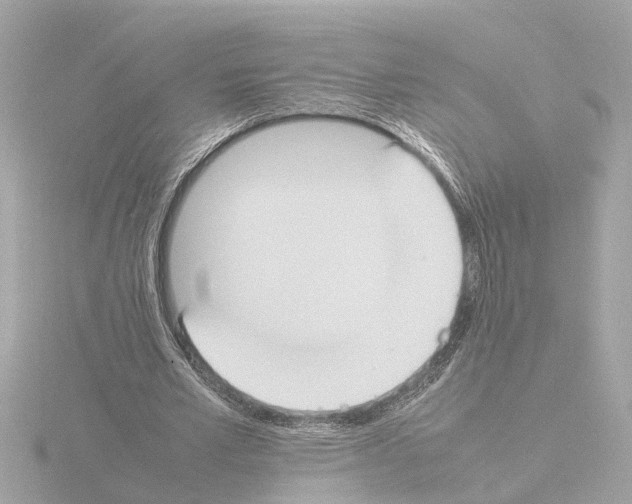X0000115500581200912181426