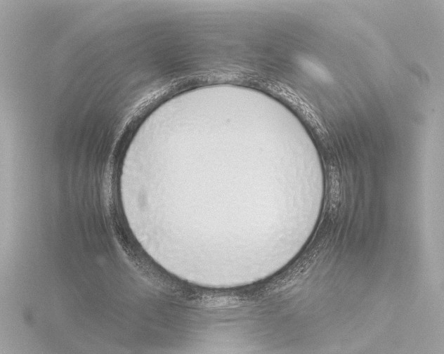 X0000115500582200912181426