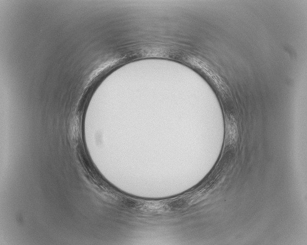 X0000115500583200912181426