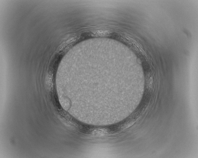X0000115500599200912181425