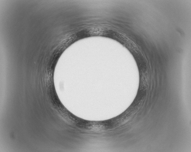 X0000115500601200912181425