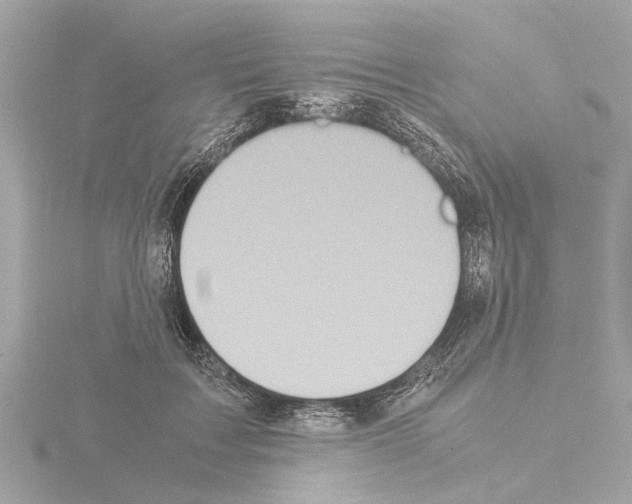 X0000115500603200912181425
