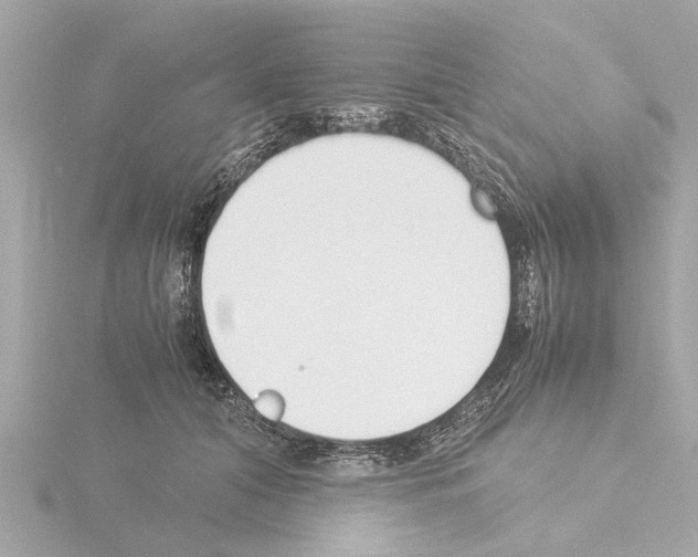 X0000115500608200912181425