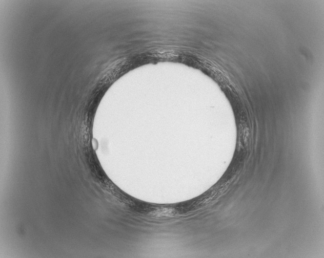 X0000115500609200912181425