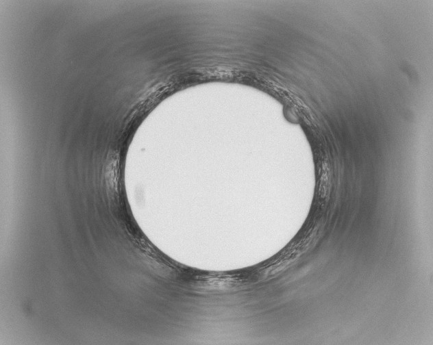 X0000115500612200912181425