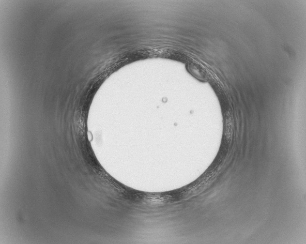 X0000115500613200912181425