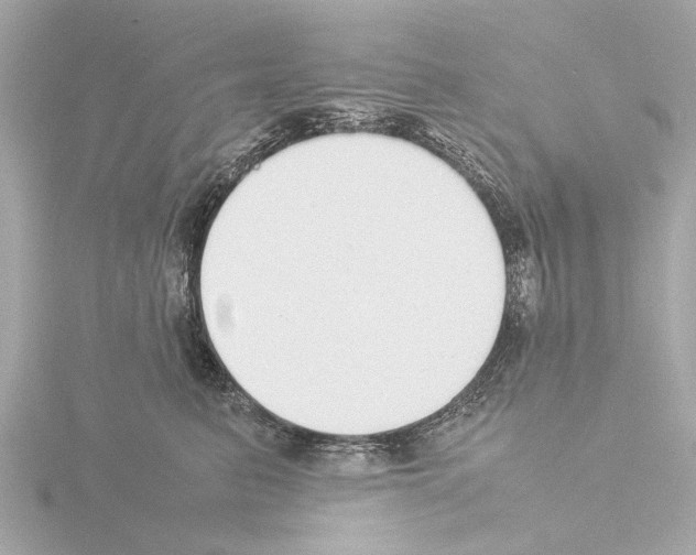 X0000115500615200912181425