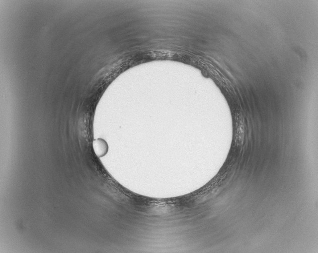 X0000115500616200912181425