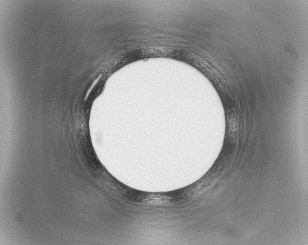 X0000115500617200912181425