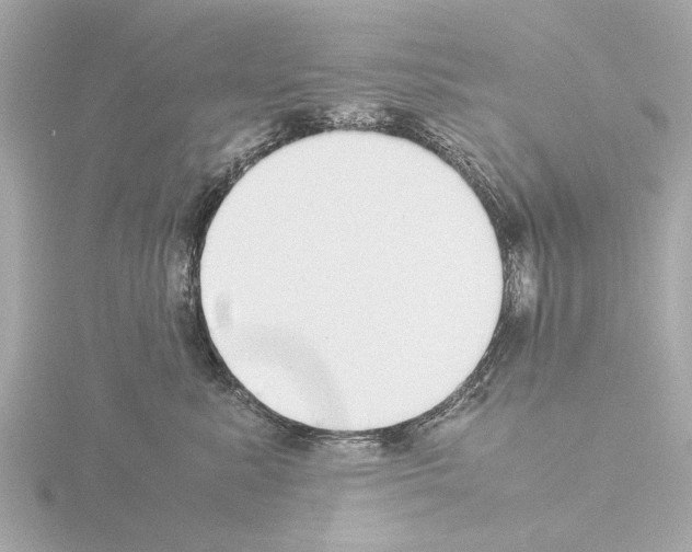 X0000115500619200912181425