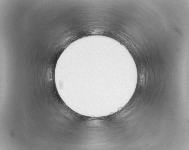 X0000115500620200912181425